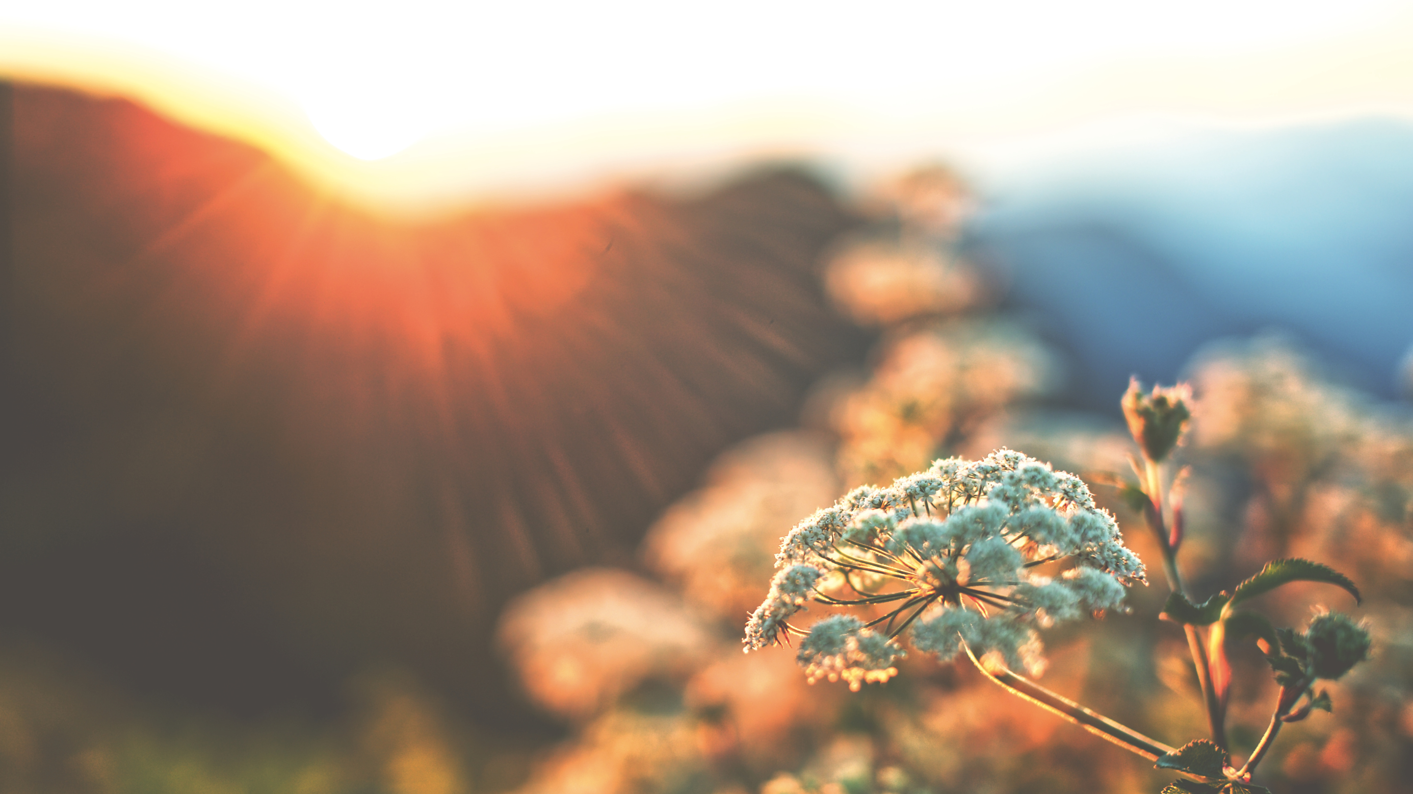 Cry, Not Sulk: Finding Strength and the Right Oncologist After a Non-Hodgkin’s Lymphoma Diagnosis | Steph's Story (Part 2)