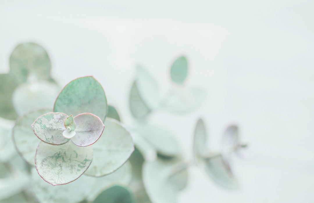 Steph Geissinger, Founder Cancer Story Non-Hodgkin's Lymphoma, 2019